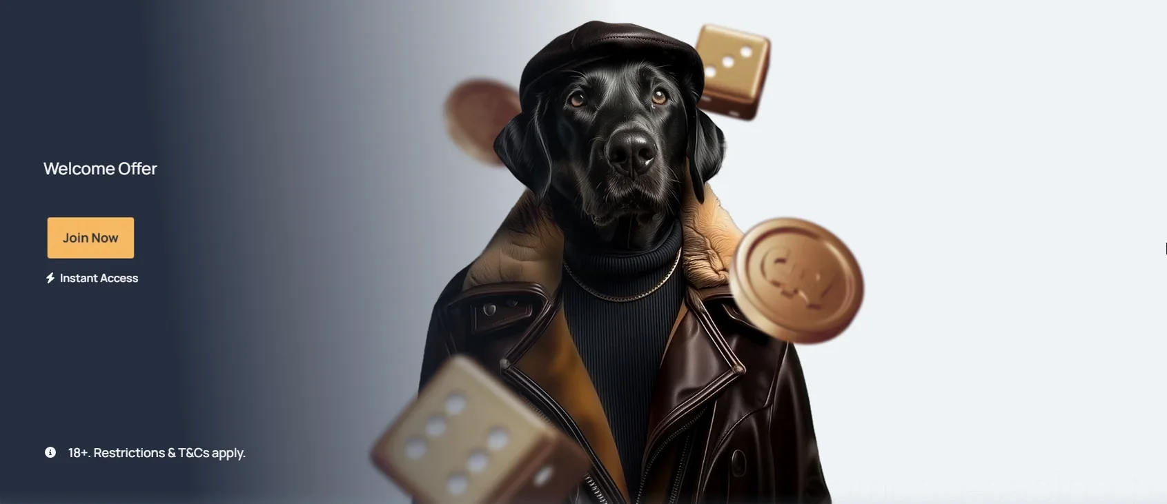 Spindog Casino Gaming